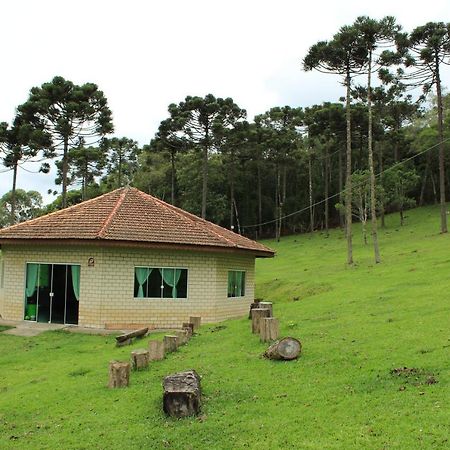 Vila Sitio Arapongas Campo Alegre  Exteriér fotografie